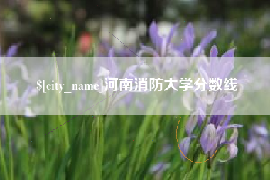 绥化河南消防大学分数线