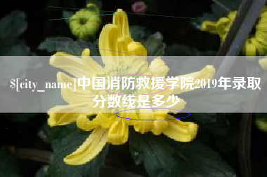绥化中国消防救援学院2019年录取分数线是多少