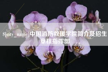 绥化中国消防救援学院简介及招生章程指挥部