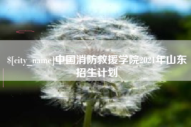绥化中国消防救援学院2021年山东招生计划