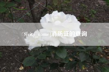 绥化消防证的查询