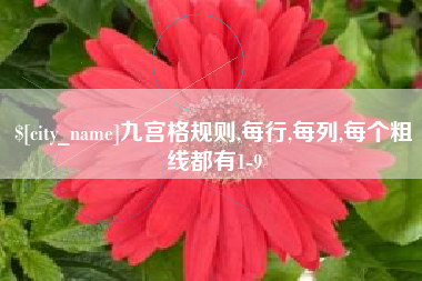 绥化九宫格规则,每行,每列,每个粗线都有1-9