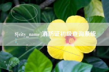 绥化消防证初级查询系统