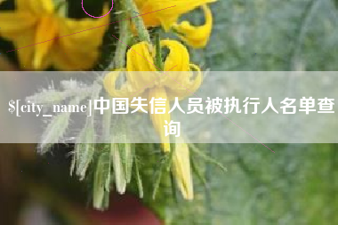 绥化中国失信人员被执行人名单查询