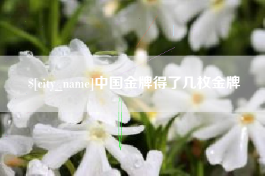 绥化中国金牌得了几枚金牌