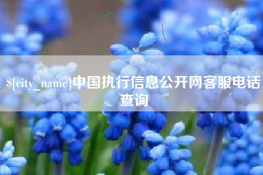 绥化中国执行信息公开网客服电话查询