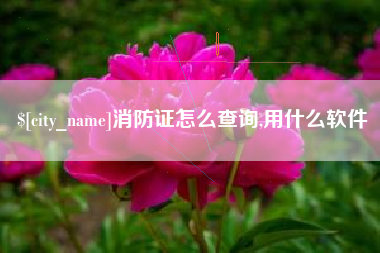 绥化消防证怎么查询,用什么软件