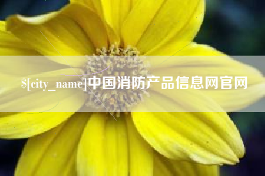 绥化中国消防产品信息网官网