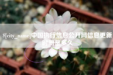 绥化中国执行信息公开网信息更新时间是多久