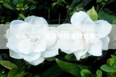 绥化现在中国金牌是多少