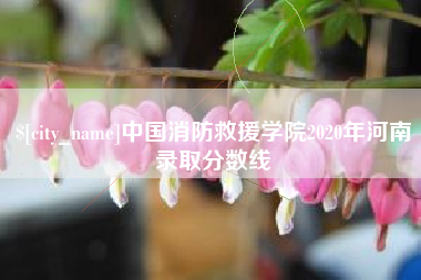 绥化中国消防救援学院2020年河南录取分数线
