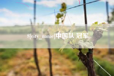 绥化中国队 冠军