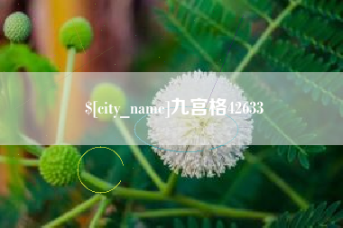 绥化九宫格42633