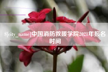 绥化中国消防救援学院2021年报名时间