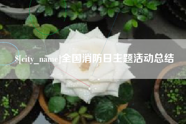 绥化全国消防日主题活动总结