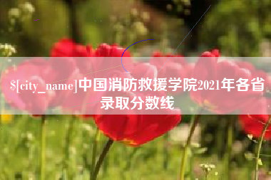 绥化中国消防救援学院2021年各省录取分数线