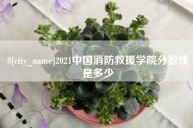 绥化2021中国消防救援学院分数线是多少