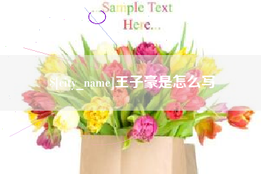 绥化王子豪是怎么写