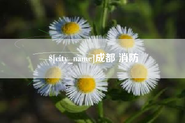 绥化成都 消防
