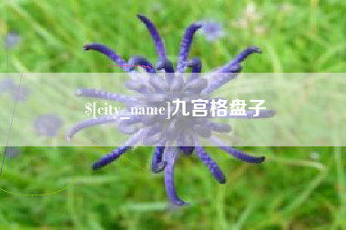 绥化九宫格盘子