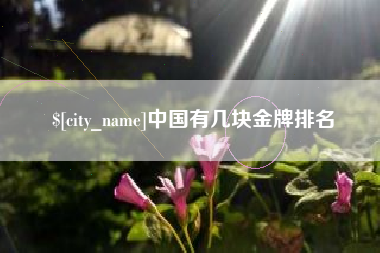 绥化中国有几块金牌排名