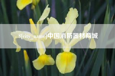 绥化中国消防器材商城
