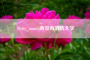 绥化有没有消防大学