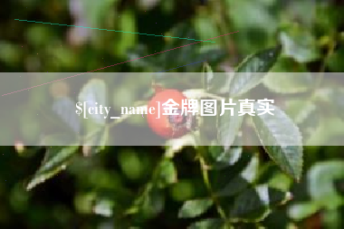 绥化金牌图片真实