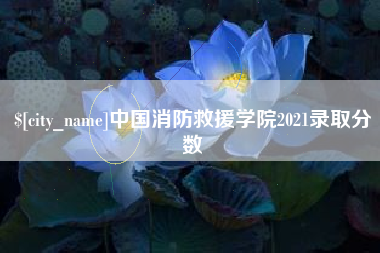 绥化中国消防救援学院2021录取分数