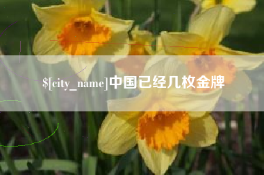 绥化中国已经几枚金牌