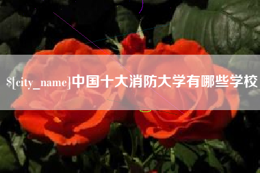 绥化中国十大消防大学有哪些学校