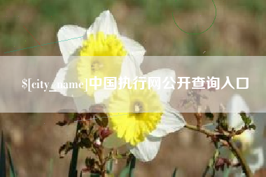 绥化中国执行网公开查询入口