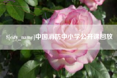 绥化中国消防中小学公开课回放