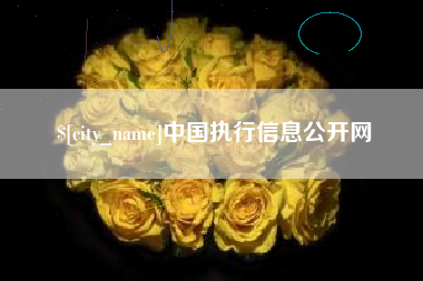 绥化中国执行信息公开网