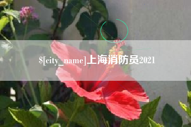 绥化上海消防员2021