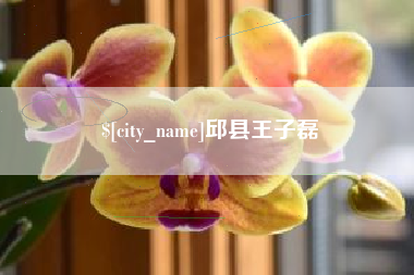 绥化邱县王子磊