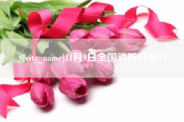 绥化11月9日全国消防日图片