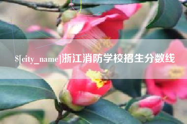 绥化浙江消防学校招生分数线