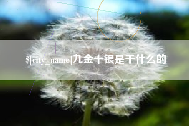 绥化九金十银是干什么的