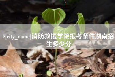 绥化消防救援学院报考条件湖南招生多少分
