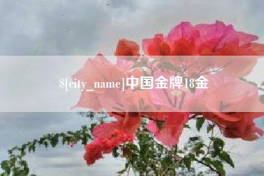 绥化中国金牌18金