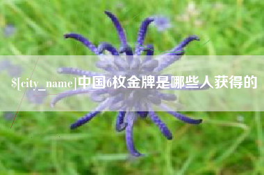 绥化中国6枚金牌是哪些人获得的