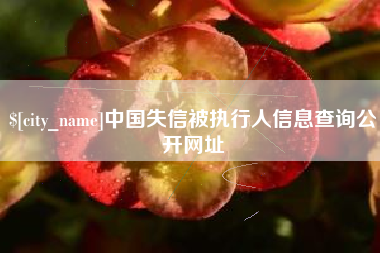 绥化中国失信被执行人信息查询公开网址