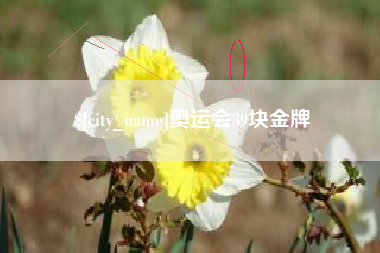 绥化奥运会39块金牌
