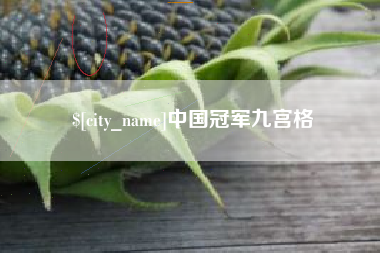 绥化中国冠军九宫格