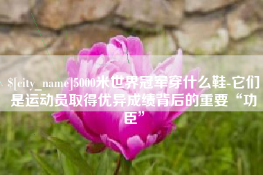 绥化5000米世界冠军穿什么鞋-它们是运动员取得优异成绩背后的重要“功臣”