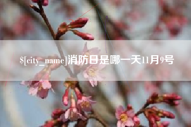 绥化消防日是哪一天11月9号