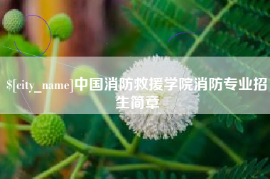 绥化中国消防救援学院消防专业招生简章