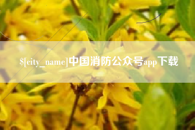 绥化中国消防公众号app下载