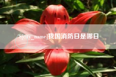 绥化我国消防日是哪日